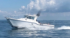 Lake Erie Fishing Charters